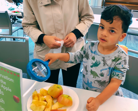 Child with apple slices and magnifying lens