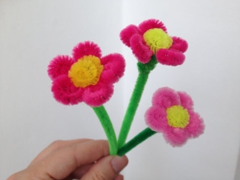 Daises