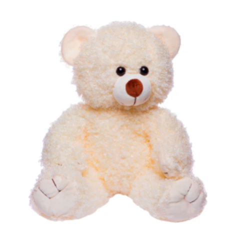 Photo of a cream-colored teddy bear