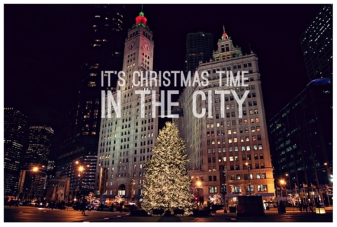 Chicago building and Christmas tree at night