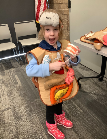 Child wearing a body organs play apron, holding a toothbrush and too