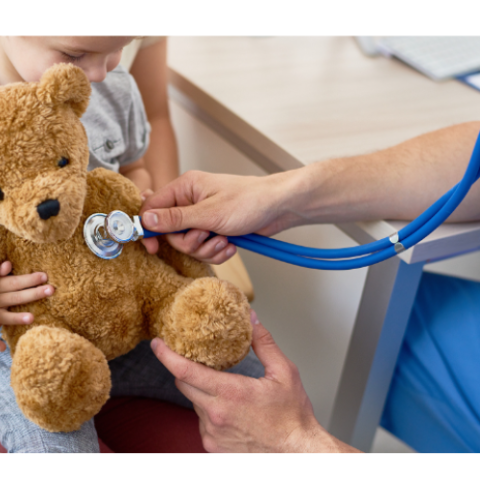 Doctor using a stethoscope on a brown teddy bear.