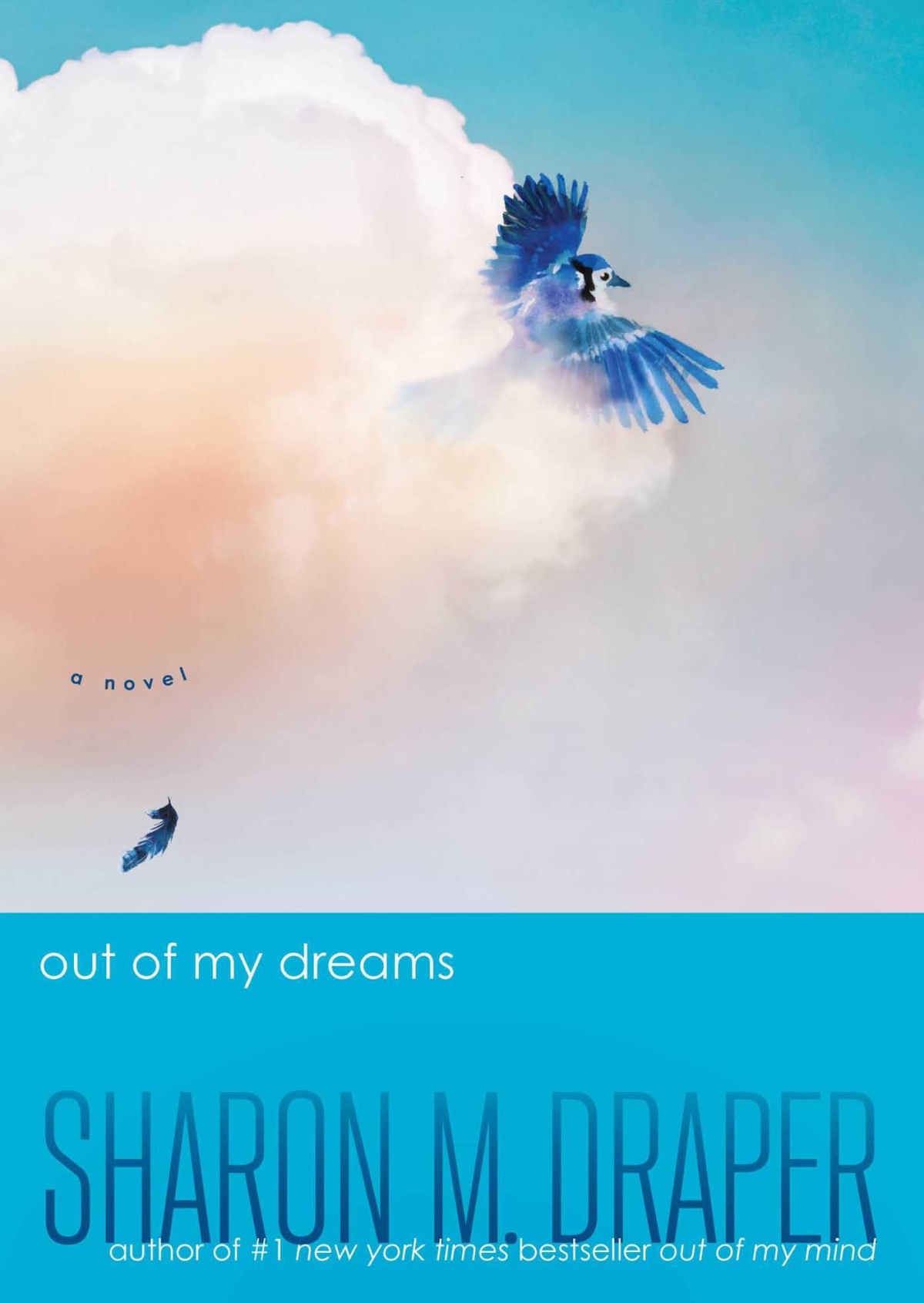 Out of My Mind by Sharon M. Draper