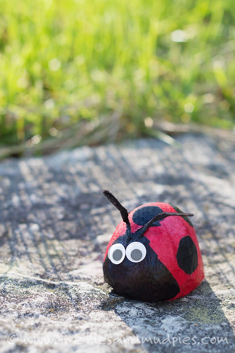 Ladybug Rock